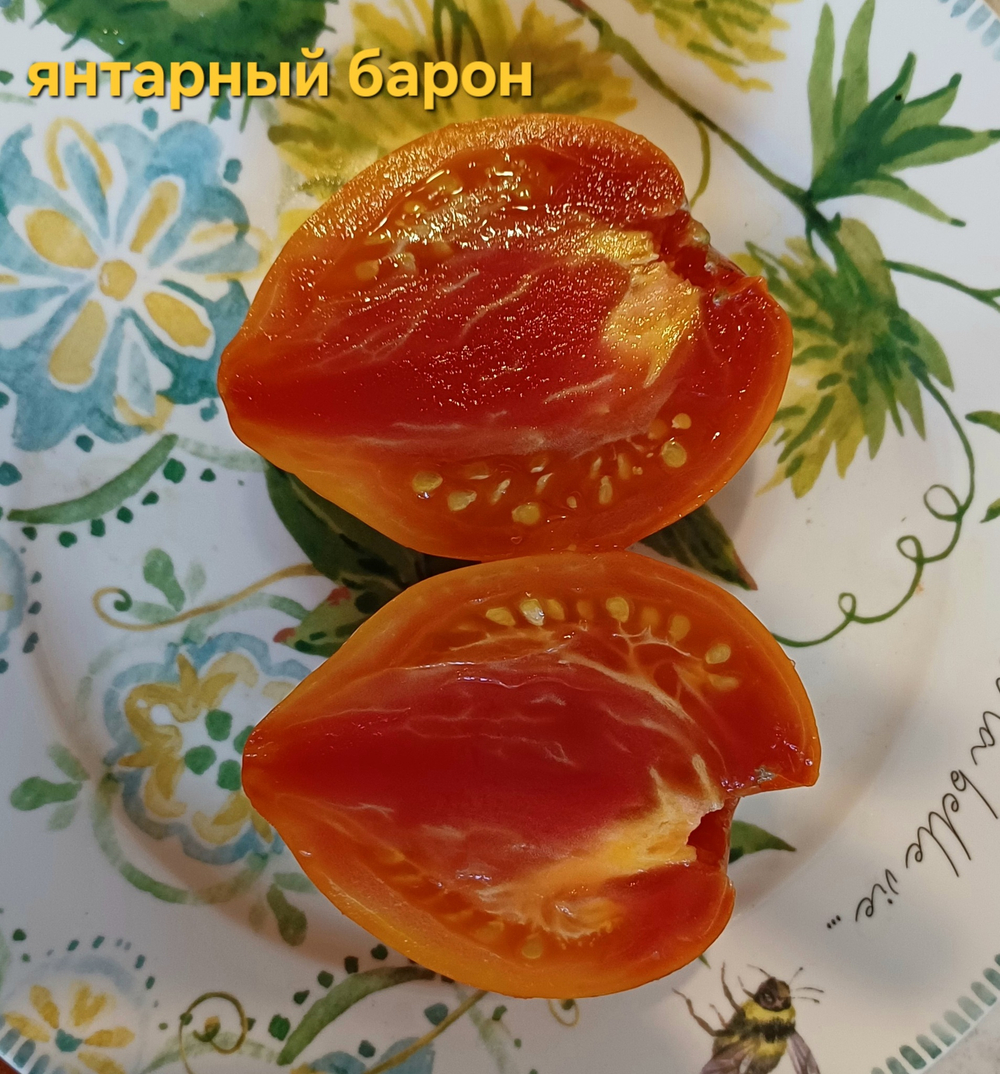 ЯНТАРНЫЙ БАРОН