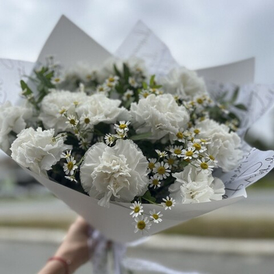 Диантусы с ромашками