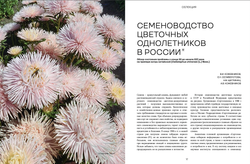 Цветоводство ОСЕНЬ 2024