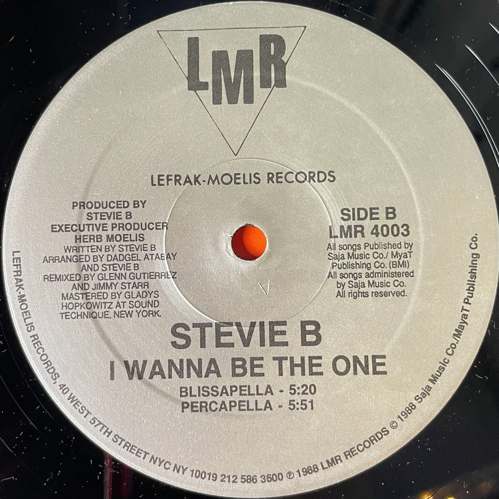 Винтажная виниловая пластинка LP Stevie B I Wanna Be The One (USA 1988)