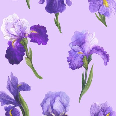 Акварельные ирисы на сиреневом фоне