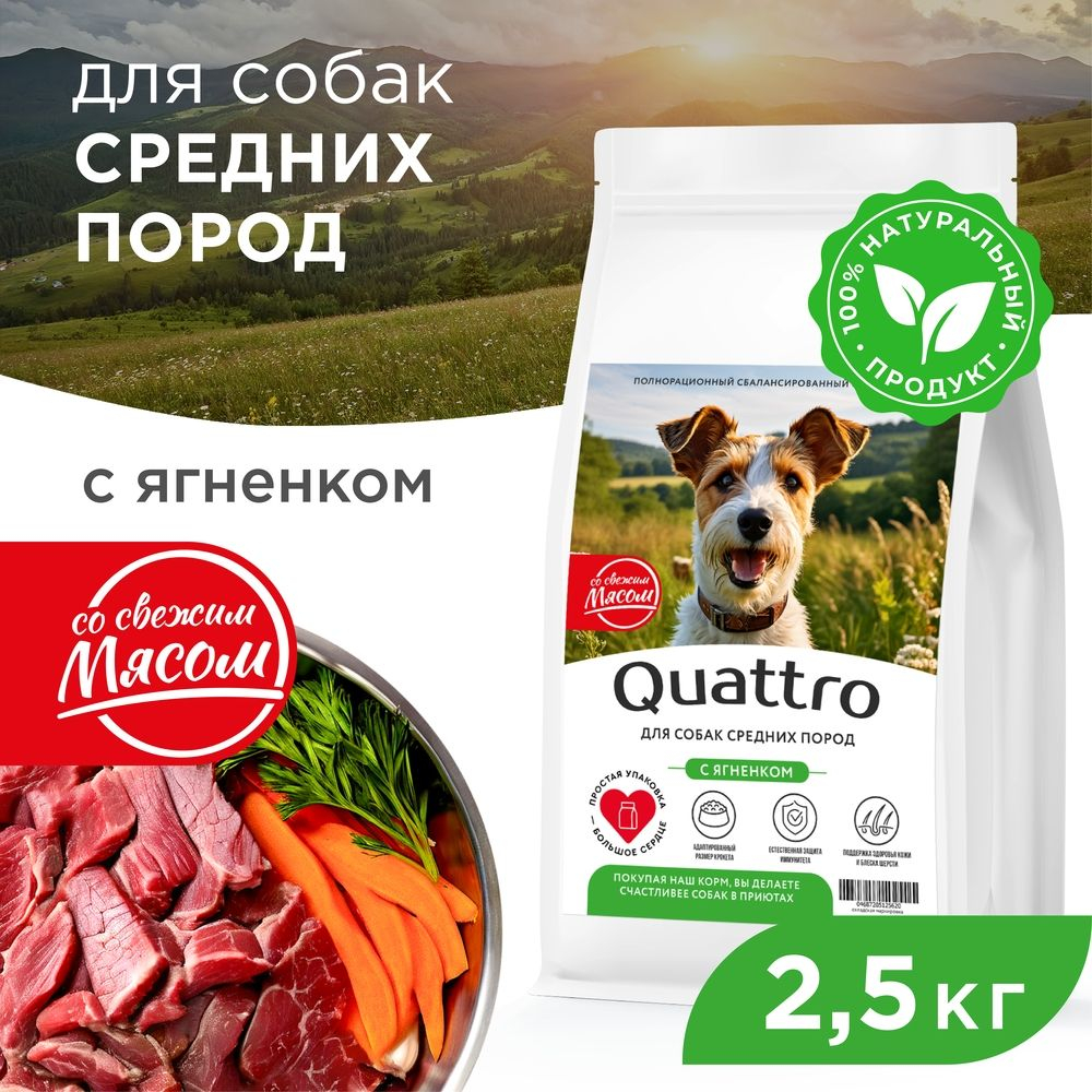 Корм сухой для взрослых собак средних пород, премиум полнорационный сбалансированный, с ягненком, 2,5 кг, QUATTRO