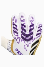 Вратарские перчатки adidas Predator Pro Promo