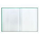 Папка А4 с 10 вкладышами 9мм, 500мкм, пластик, зеленая (Стамм)