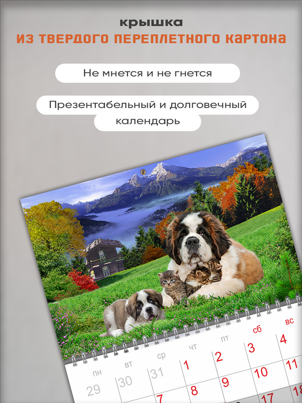 Настенный отрывной календарь "Сенбернары"