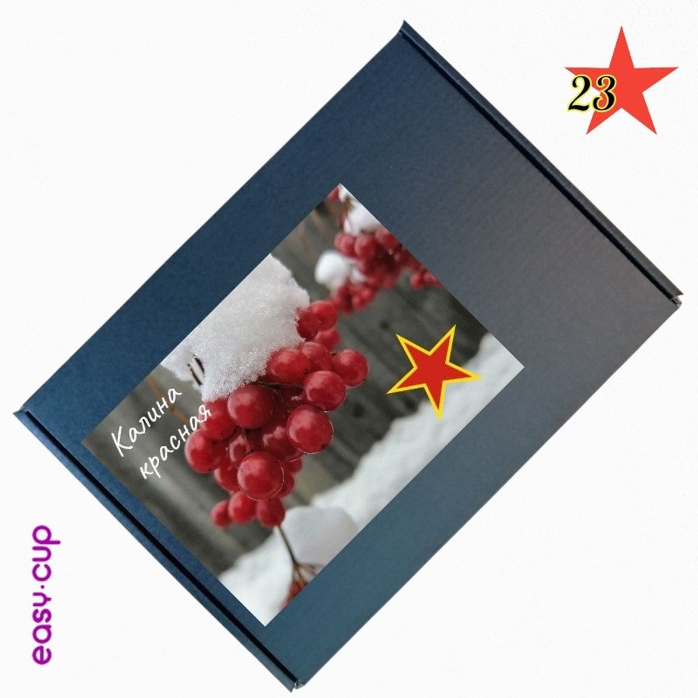 Подарочный набор чая на 23 февраля "Калина красная"