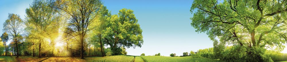 Стеновая панель 2800*610*6 (SP-212 глянец)