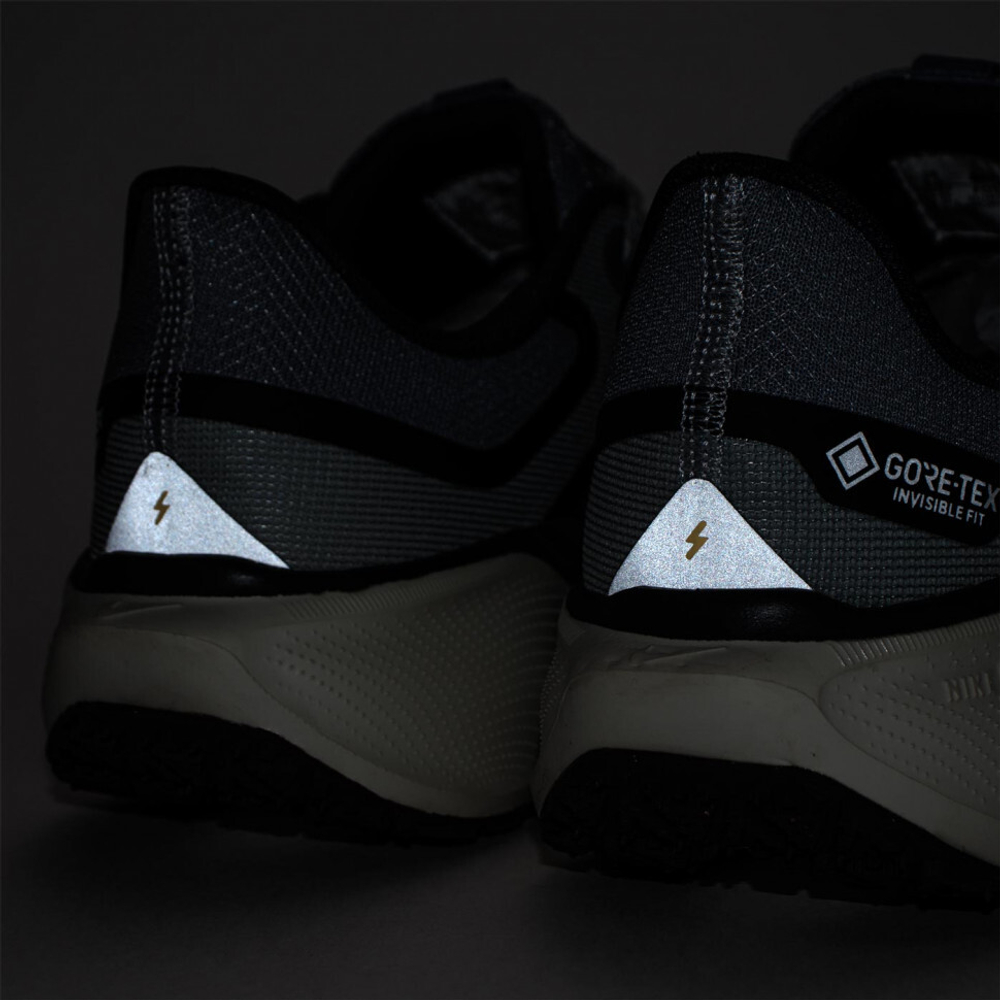 кроссовки Nike Air Zoom Pegasus 41 Gtx Light Pumice FQ1356-003