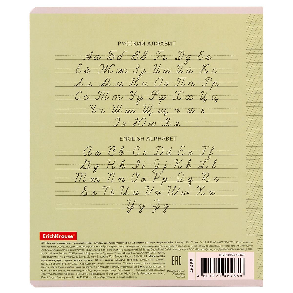 Тетрадь школьная А5 12л частая косая линия, зеленая "Классика Visio" (Erich Krause) микс цветов (комплект 3 шт)