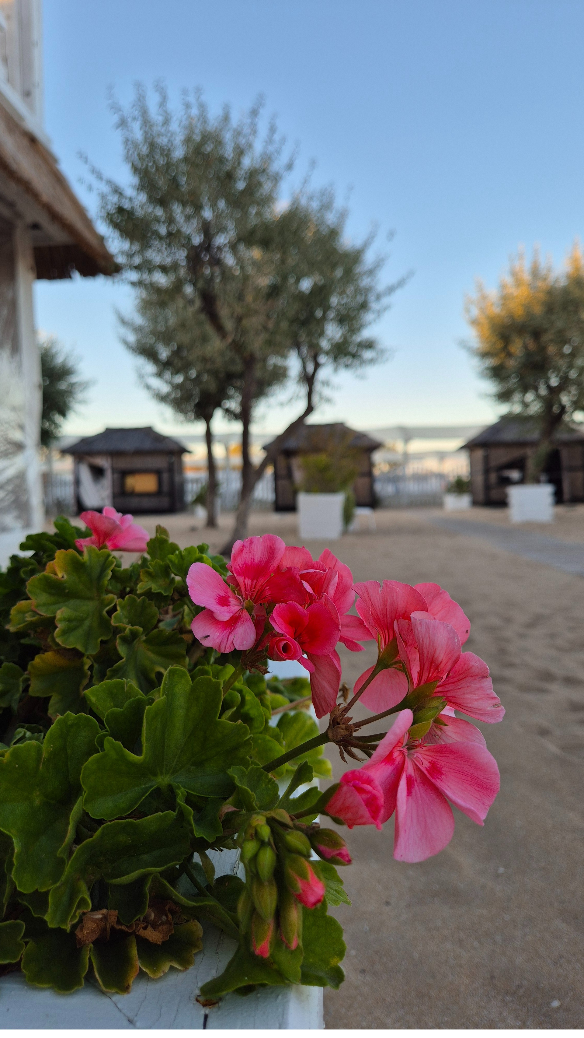 Это твоя история...