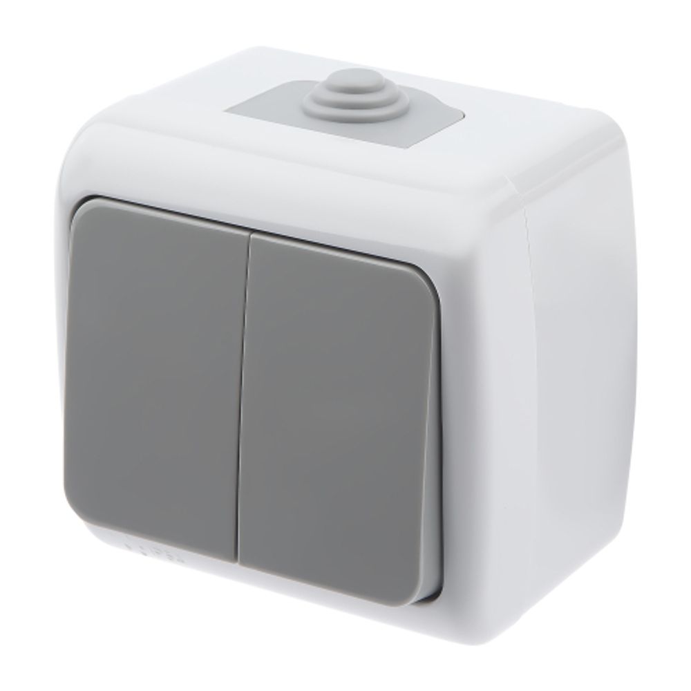 Выключатель Intro Atlantic 5-104-03 двойной, 10А-250В, IP54, открытой установки, серый | Intro