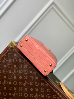 Louis Vuitton Capucines Mini