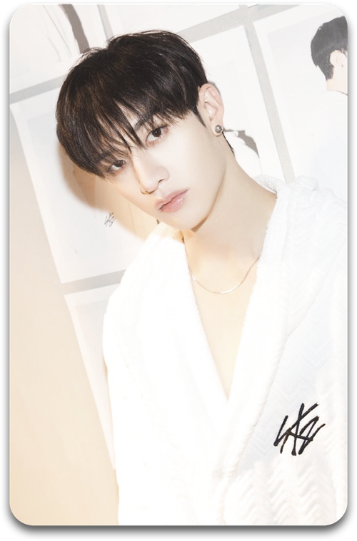 Карта / STRAY KIDS #2048