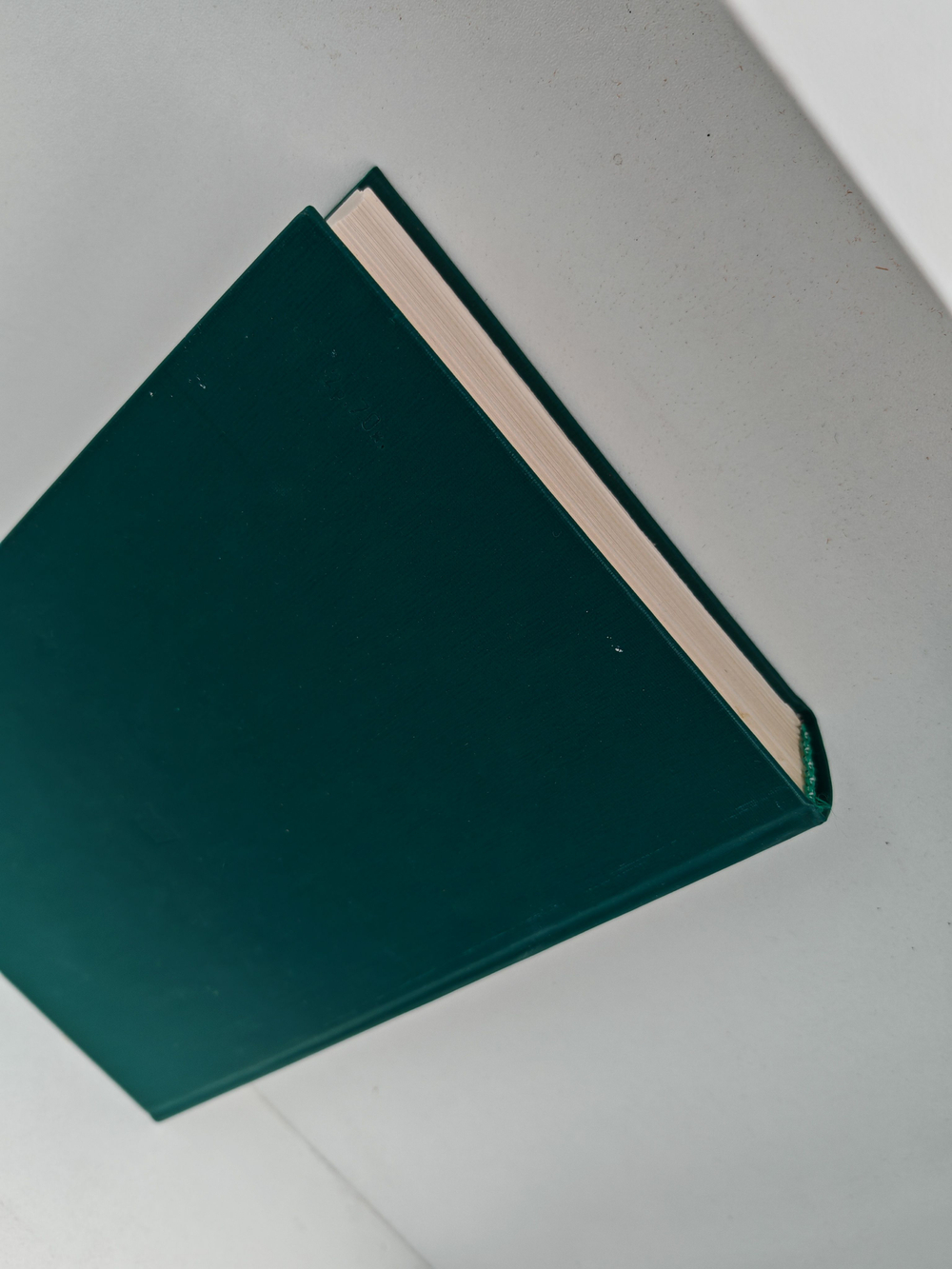 Юлия, или Встречи под Новодевичьим: Московская романтическая повесть конца XIX века - начала XX века