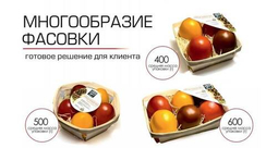 Яйца ФАБЕРЖЕ набор семян (Гавриш)