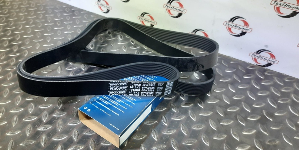 Ремень 8PK2585