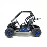 Багги Green Camel Намиб T10 (60V 2000W R8 Дифф)