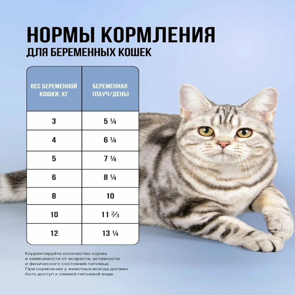Пауч BOWL WOW для котят и беременных кошек с белой рыбой и тыквой, кусочки в соусе Пауч BOWL WOW для котят и беременных кошек с белой рыбой и тыквой, кусочки в соусе