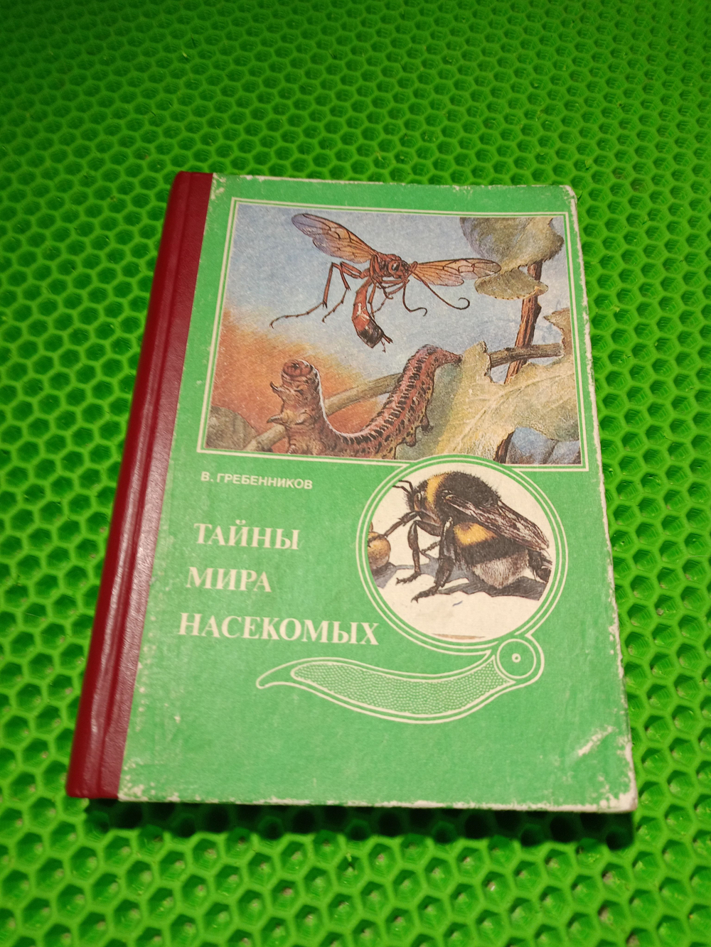 Тайны мира насекомых