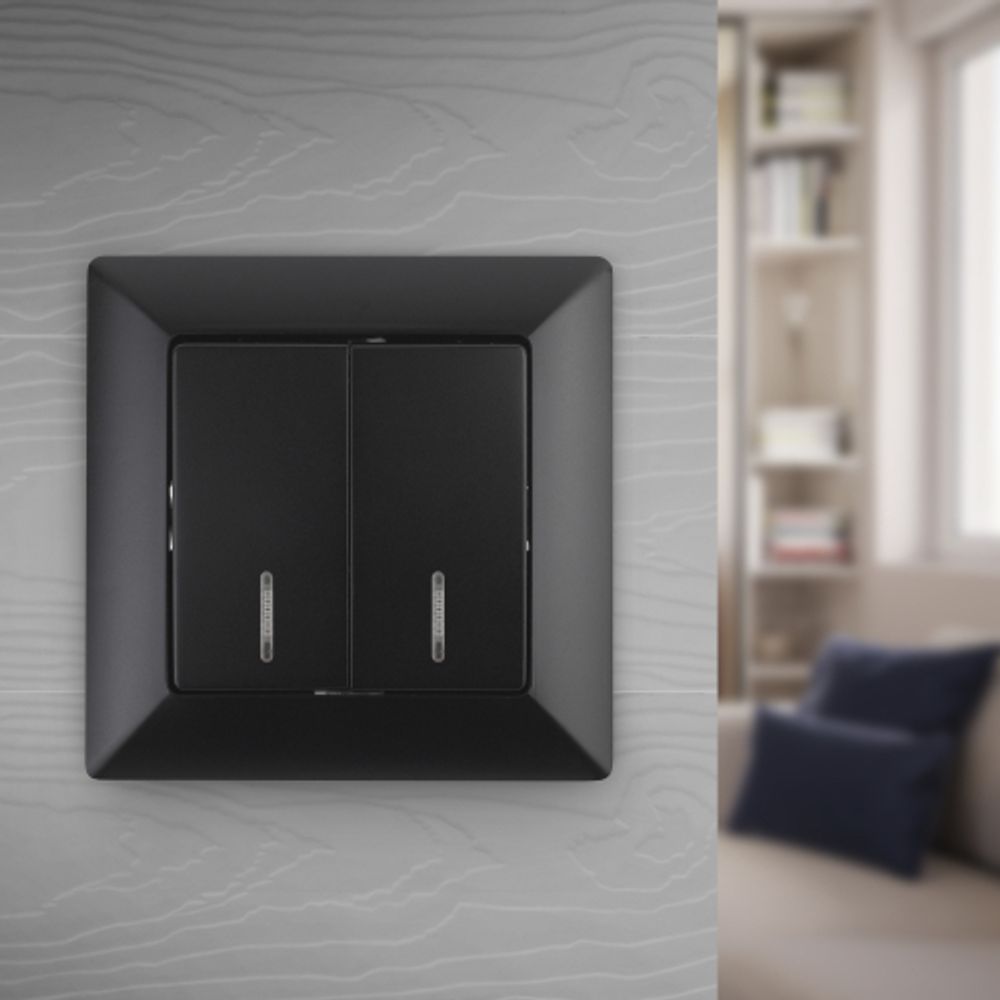 Выключатель Intro Solo 4-105-05 двухклавишный с подсветкой, 10А-250В, IP20, СУ, Solo, антрацит