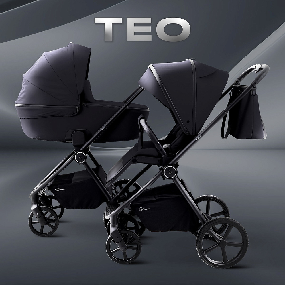 Детская коляска Rant Teo 3 в 1 Black