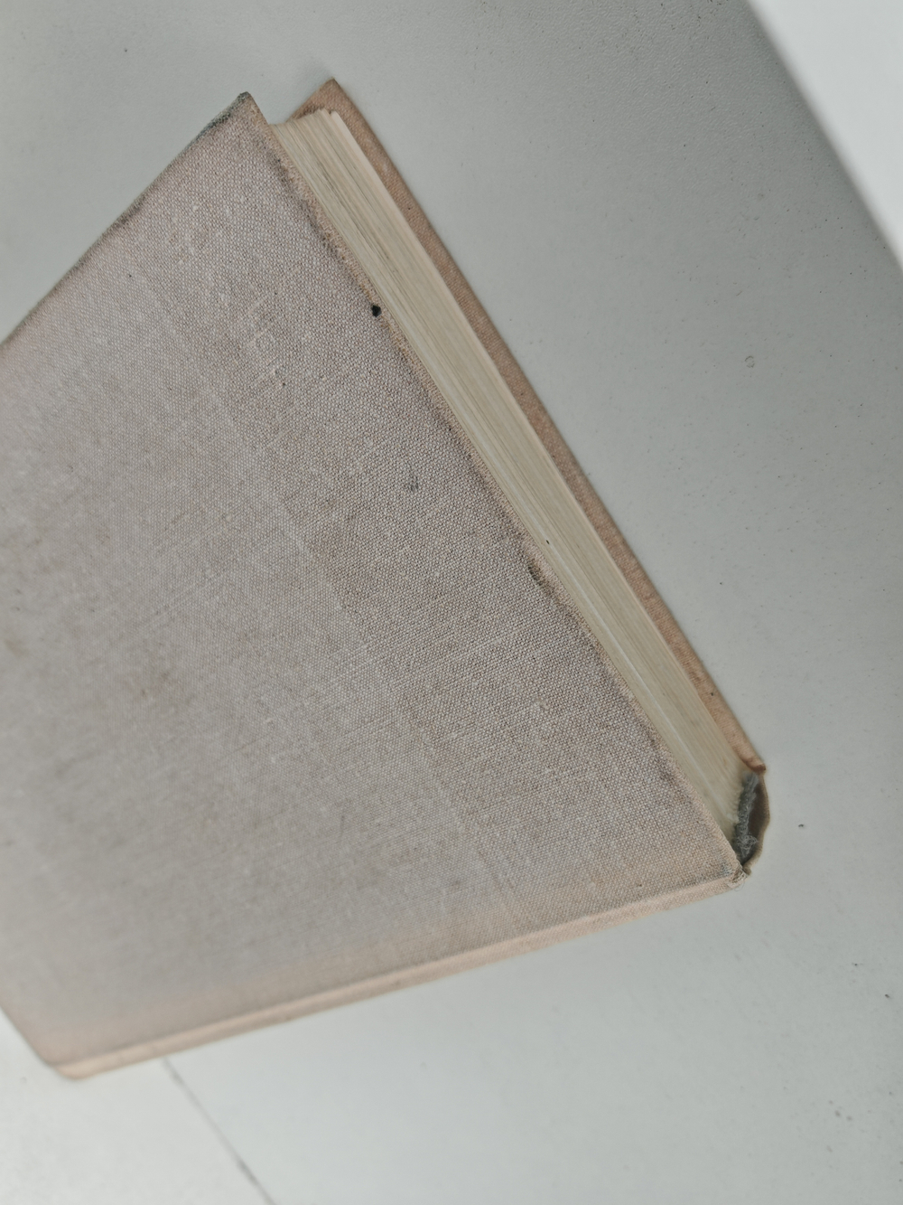 Алтунин принимает решение