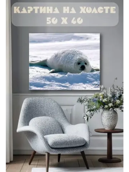 Картина на стену 40 X 50 Нерпа