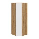 Люмо (Тащи в дом) ШК-04 Шкаф угловой