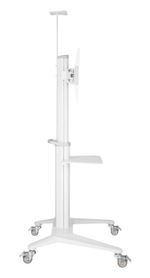 Стойка для дисплея Digis DSM-P764C