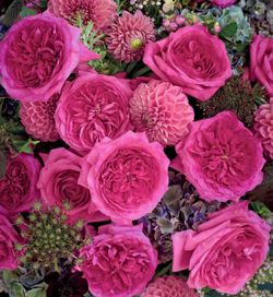 Капабилити (Capability)