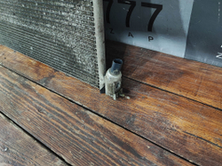 Радиатор кондиционера Mercedes S-Class (W222) 13-20 Б/У Оригинал A0995001854