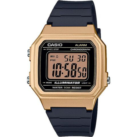 Мужские наручные часы Casio Collection W-217HM-9A