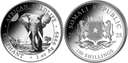 Сомали 100 шиллингов, 2025 Дикая природа Африки - Слон