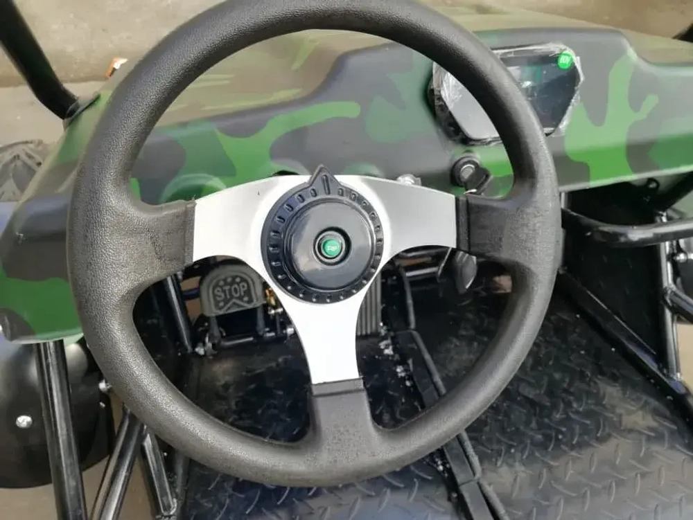Багги Green Camel Намиб T009 (60V 1500W R7 Дифференциал)