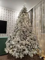 ель заснеженная "Камчатская" 270 см / 2,7 м