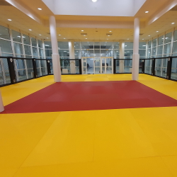 Татами JUDO