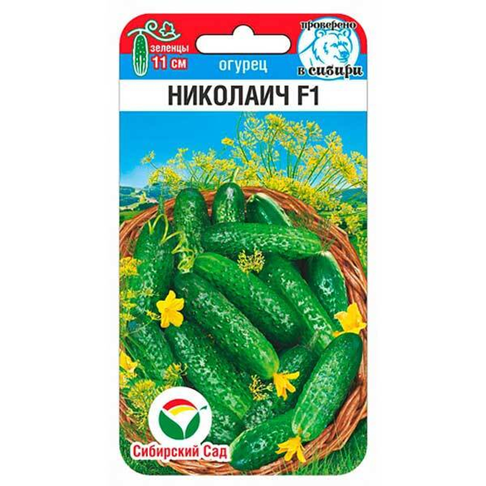 Огурец Николаич СибСад Ц