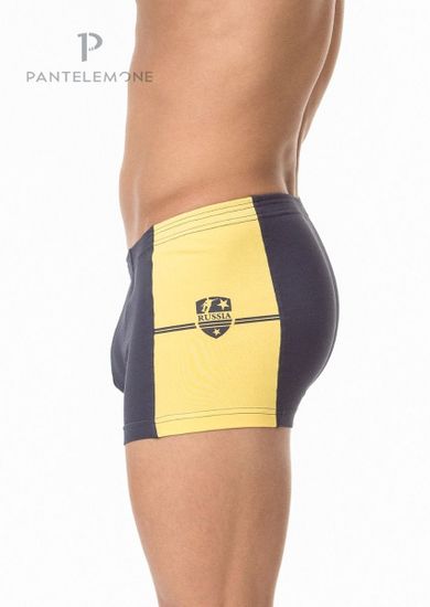 Трусы мужские боксеры Pantelemone PMH-1380, темно-серый