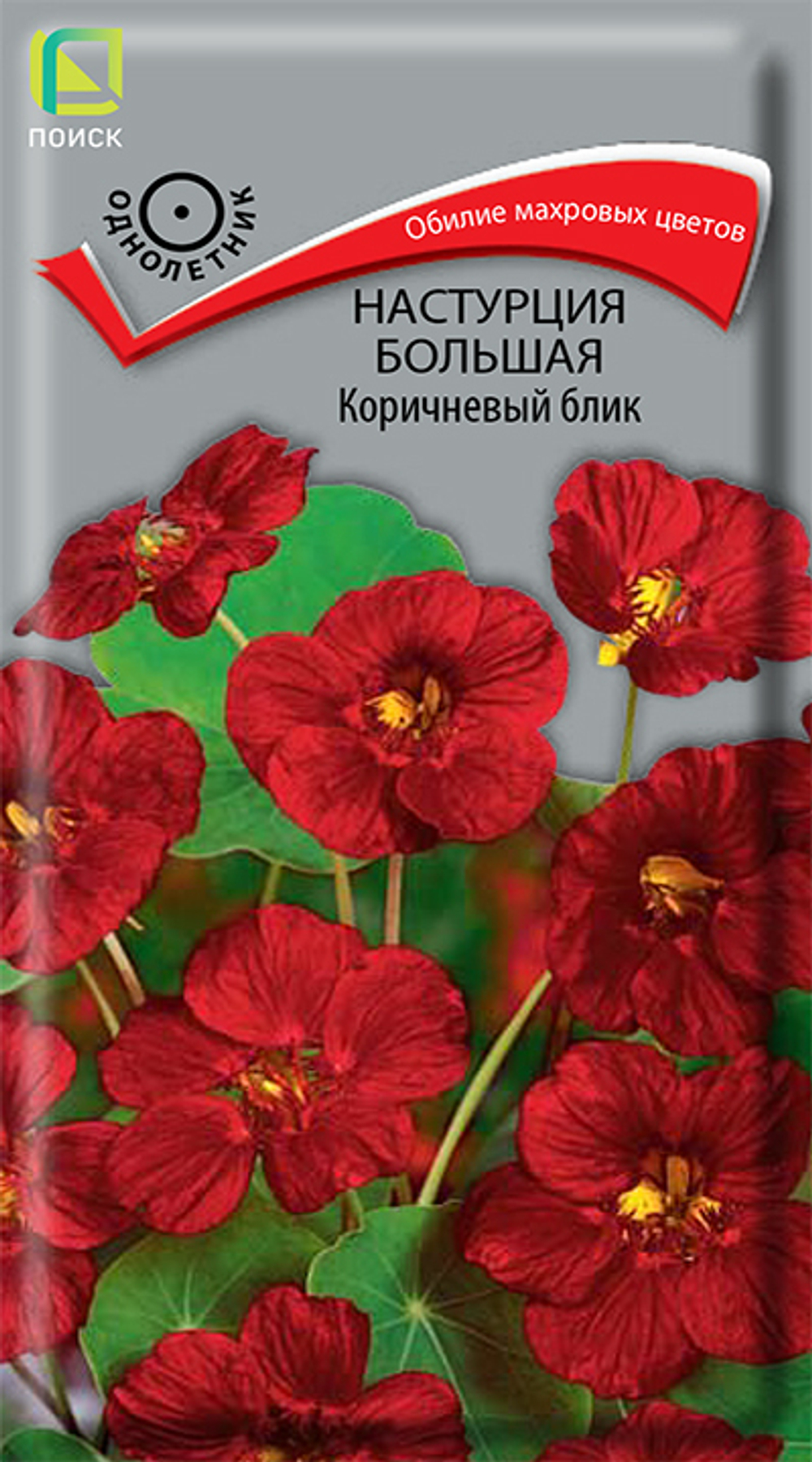 Настурция большая Коричневый блик