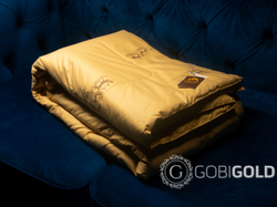 Одеяло стеганое из 100% верблюжьего пуха 200х220 см. (GOBI'S SUN)