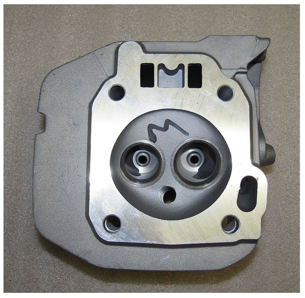 Головка блока цилиндра бензинового двигателя (седла+втулки) Excalibur S420/LB190/Cylinder head comp