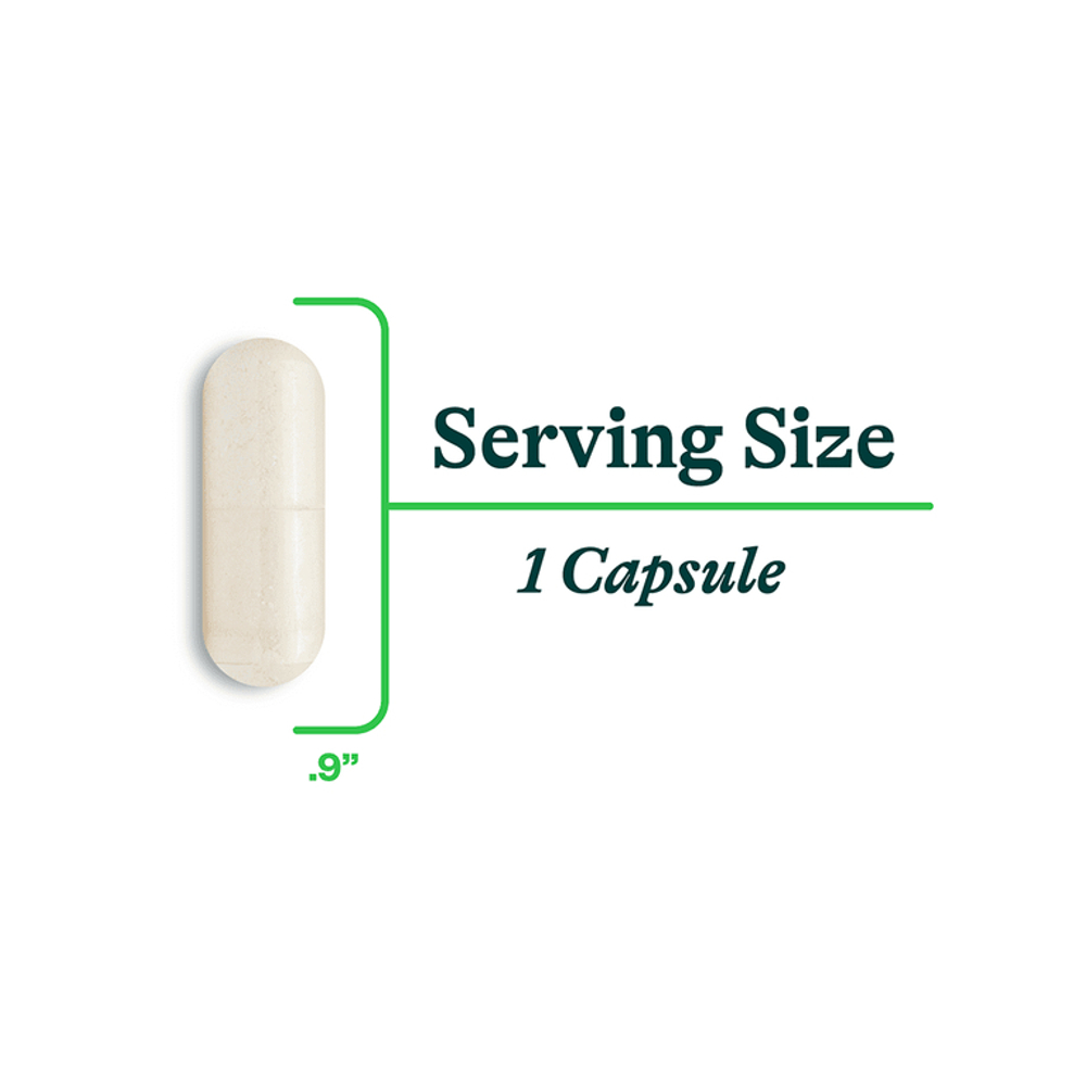 Seeking Health, ProBiota HistaminX 60 caps.