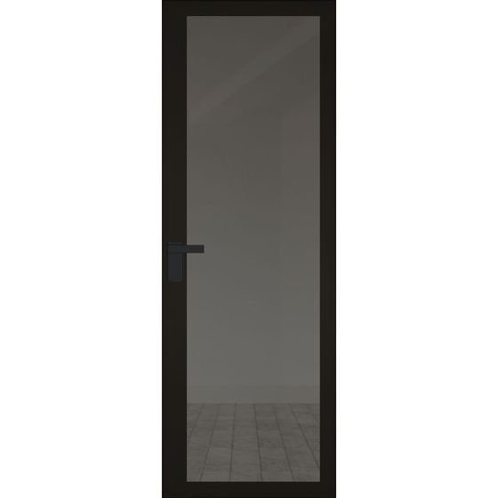 Алюминиевая дверь 2AGК кромка чёрная матовая RAL9005 стекло планибель графит прокрас чёрный