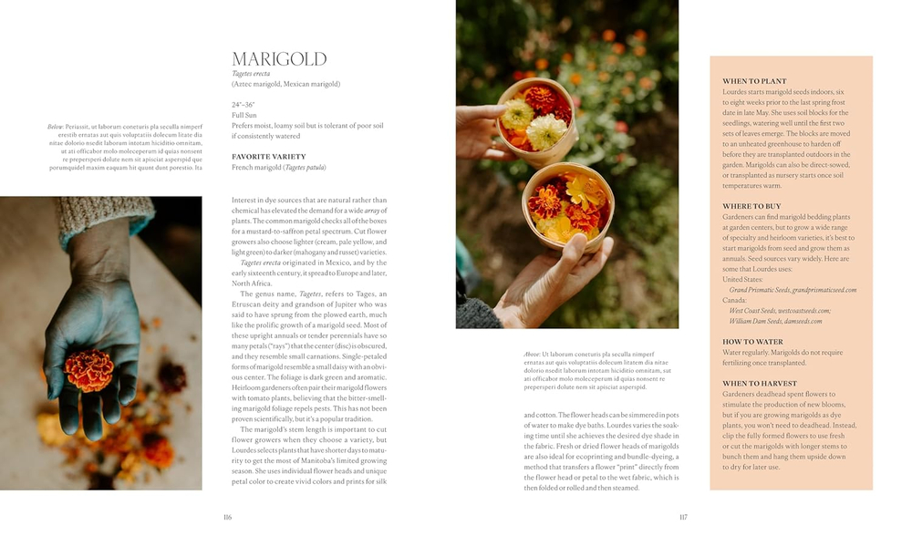 The Flower Farmers: Inspiration & Advice from Expert Growers