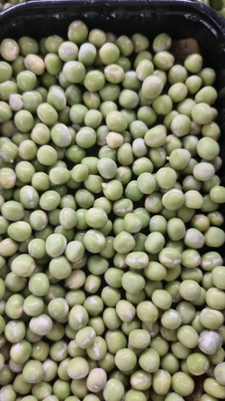 Семена горох зеленый Мадрас, микрозелень 5кг. Горох для проращивания