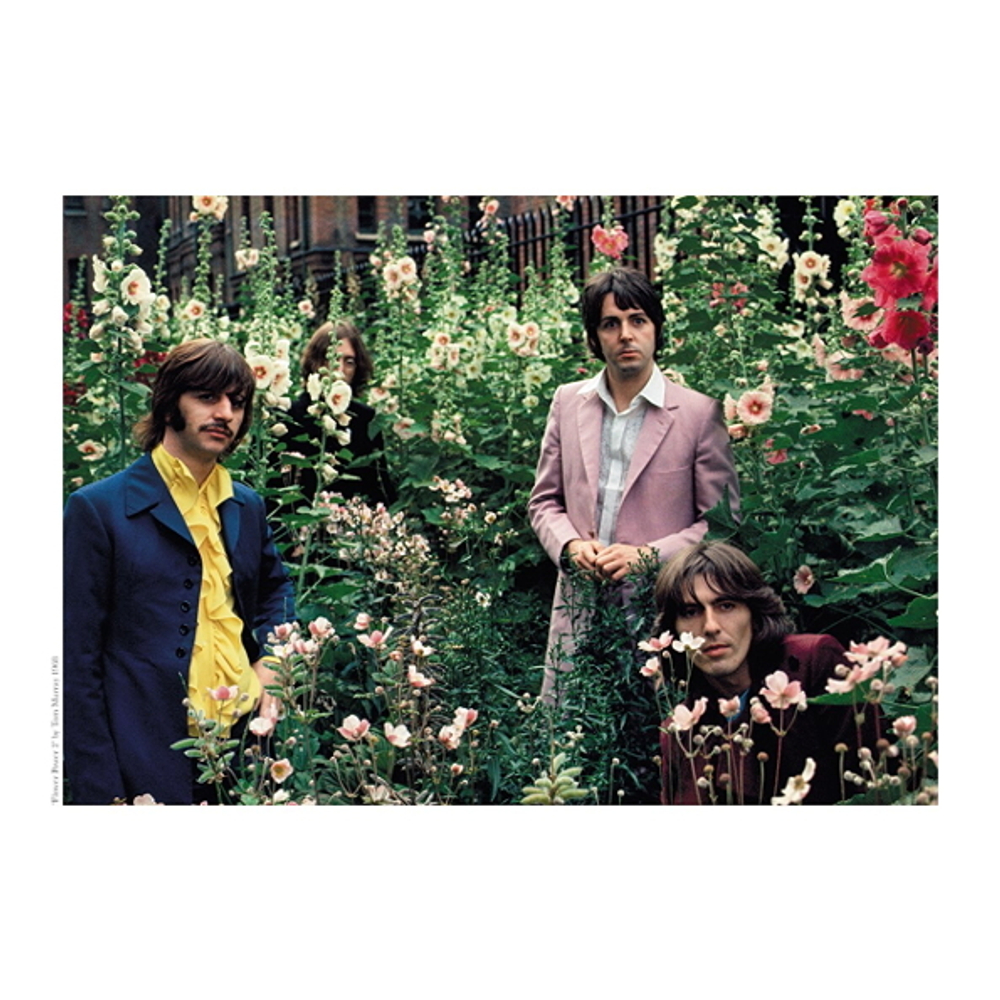 The Beatles: Tom Murray’s Mad Day Out / Paul Skellett, Tom Murray, Simon Weitzman