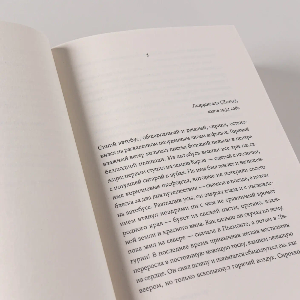 Почтальонша