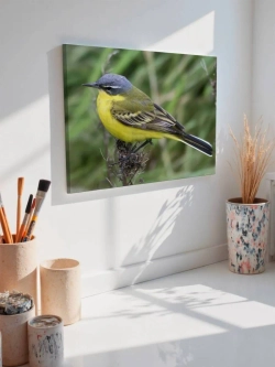 Картина на стену 40 X 50 Желтая птица