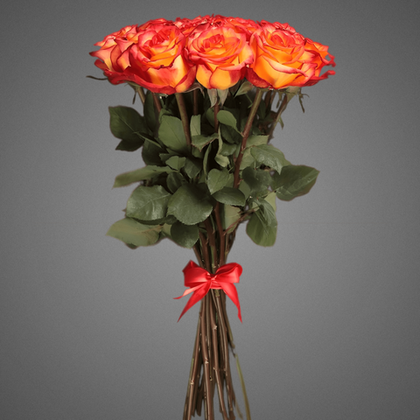 Букет из 11 роз Эквадор