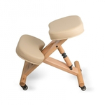 Ортопедический стул VERTEBRA GESS
